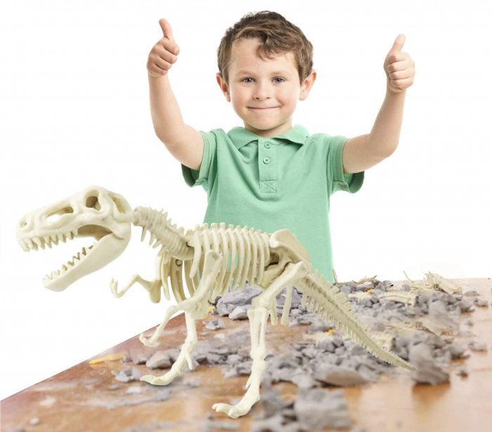 Kit Arheologie Sapa si monteaza 3D scheletul de dinozaur