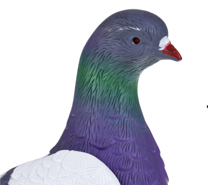 Porumbel interactiv realist – jucarie educativa cu miscare, sunete si aripi mobile [6]