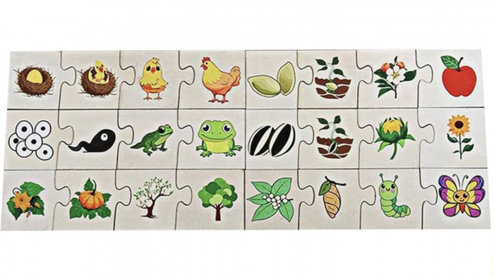 Puzzle de Asociere cu Animale si evolutia lor, 24 Piese [7]