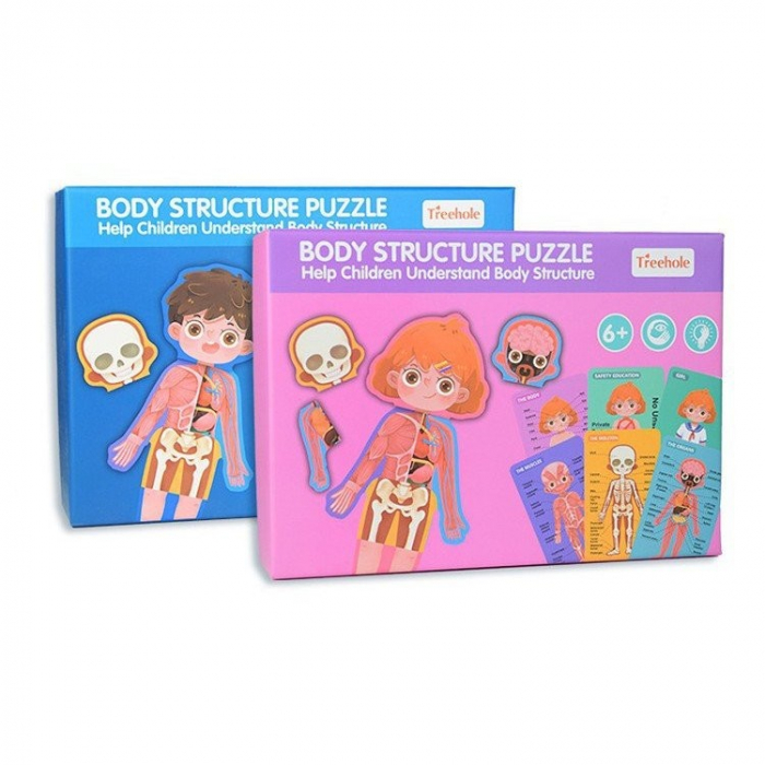 Puzzle din lemn sistemele Corpului uman - Baietel [3]