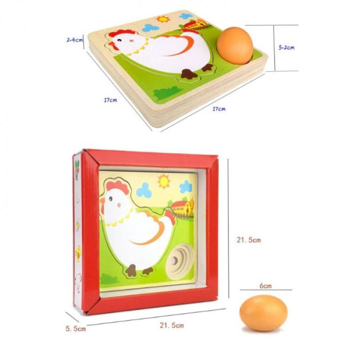 Puzzle incastru stratificat Ciclul Vietii Gainii [4]