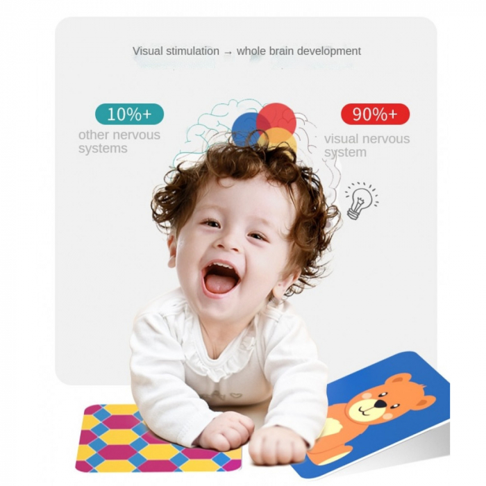 Set 20 carduri STEM, de stimulare siinvatare vizuala, Poze, 12-36 luni [4]