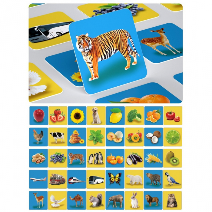 Set 20 carduri STEM, de stimulare siinvatare vizuala, Poze, 12-36 luni [3]