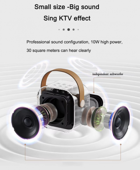 Set Karaoke cu Boxa Difuzor cu Microfon Wireless, cu bluetooth, acumulator, negru [3]