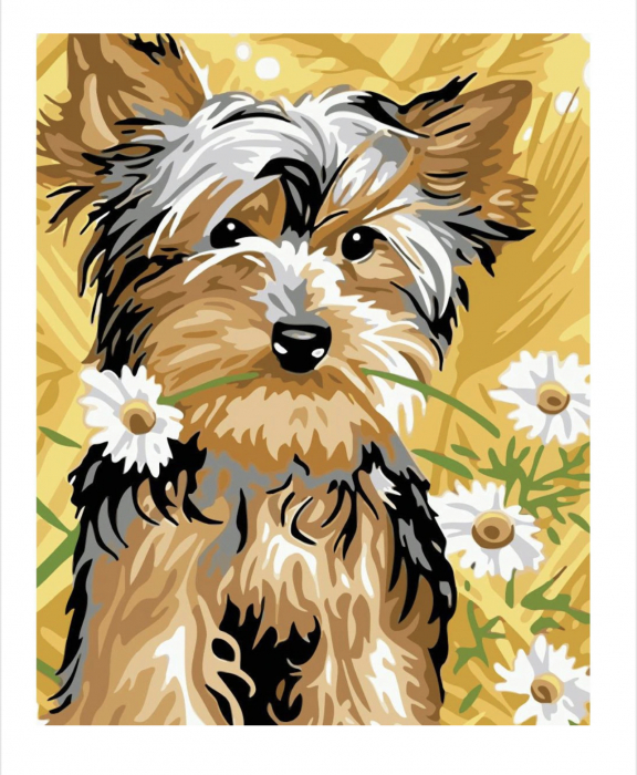 Tablou 609 picteaza dupa numere, catelus bichon cu margarete, 20x30 cm
