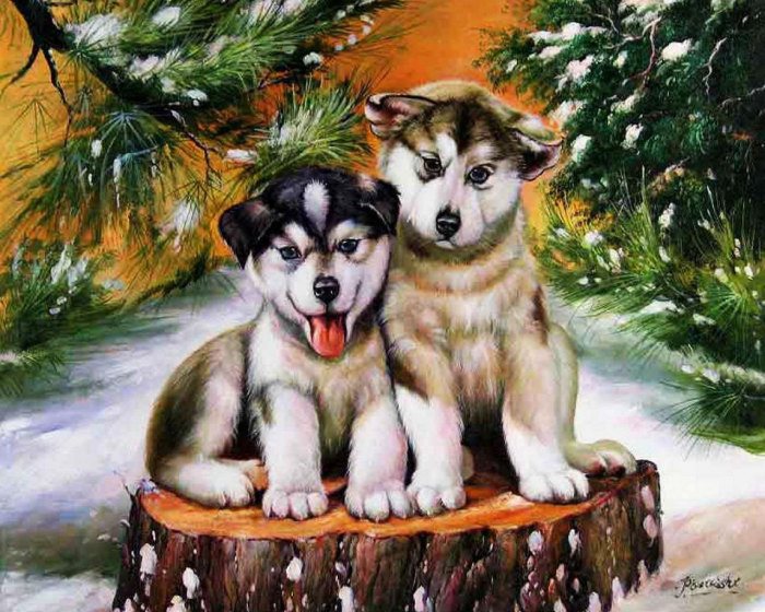 Tablou 932 picteaza dupa numere, husky puppy , 40x50 cm