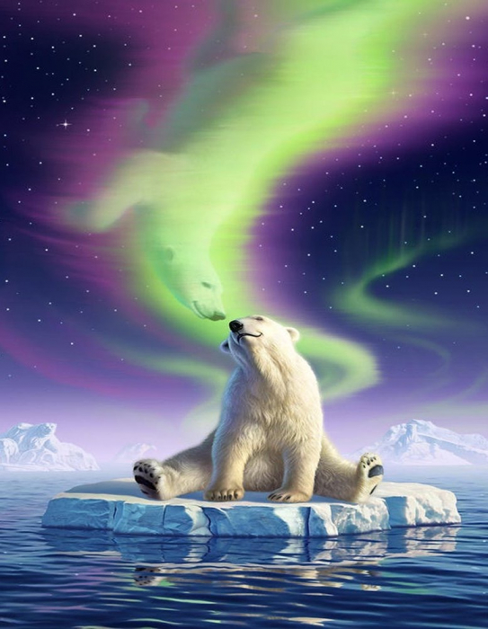 Tablou gm078, ursul polar si aurora boreala, cu rama de lemn, pictura cu diamante, goblen cu pietre 5d, 40 x 50 cm
