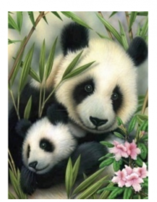 Tablou gm304, panda mama si puiul, cu rama de lemn, pictura cu diamante, goblen cu pietre 5d, 20 x 30 cm