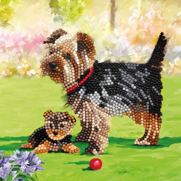 Tablou GM427 Catelus Terrier, cu rama de lemn, Pictura cu Diamante, Goblen cu pietre 5D, 20 x 20 cm