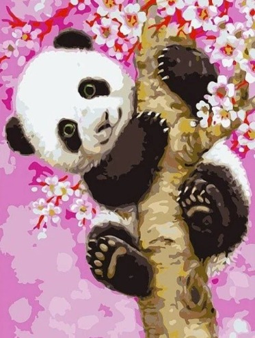 Tablou PM703 Picteaza Dupa Numere, cu rama, 20x30 cm, Panda in pom de cires