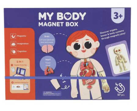 Jocuri si Jucarii - Joc magnetic educativ Corpul Uman tip carte Magnet Box, schelet, organe si carioca lavabila, +3 ani