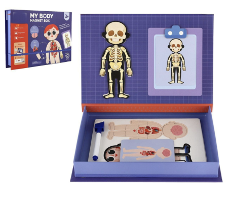 Jocuri si Jucarii - Joc magnetic educativ Corpul Uman tip carte Magnet Box, schelet, organe si carioca lavabila, +3 ani