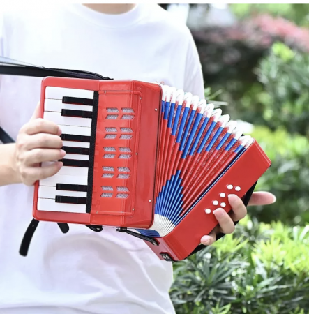 Acordeon muzical cu clape [4]