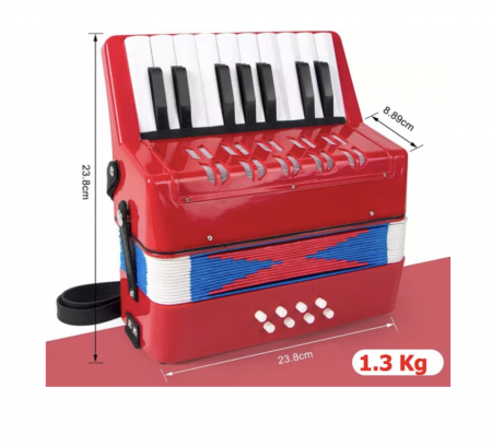 Acordeon muzical cu clape [6]