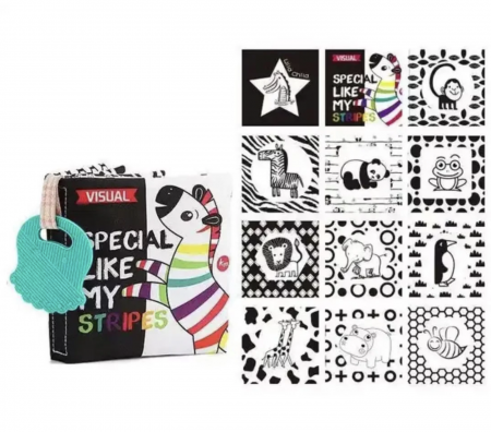 Set 6 carti senzoriale bebe, cu jucarii de dentitie [7]