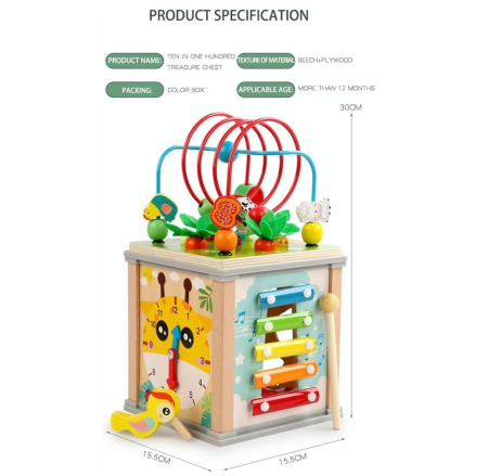 Cub Activitati Educativ Montessori 10 in 1, din lemn, Ciocanitoare si Xilofon [12]