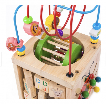 Cub cu activitati diverse 6 in 1 cu cilindru, Buburuza, din lemn [2]