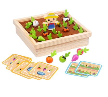 Joc de memorie Gaseste legumele si fa o supa! [6]