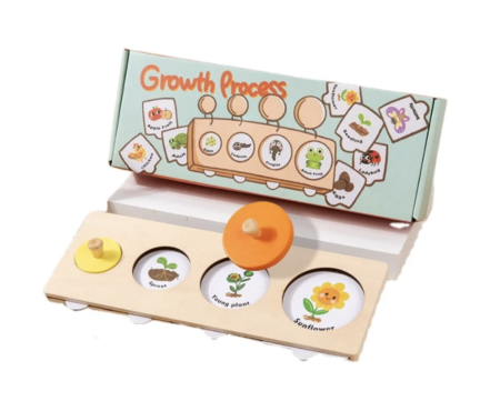 Joc educativ Montessori Ciclul vietii plantelor si animalelor, din lemn [3]
