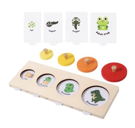 Jocuri si Jucarii - Joc educativ Montessori Ciclul vietii plantelor si animalelor, din lemn