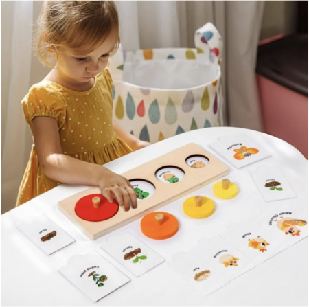 Joc educativ Montessori Ciclul vietii plantelor si animalelor, din lemn [2]