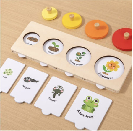 Joc educativ Montessori Ciclul vietii plantelor si animalelor, din lemn [4]