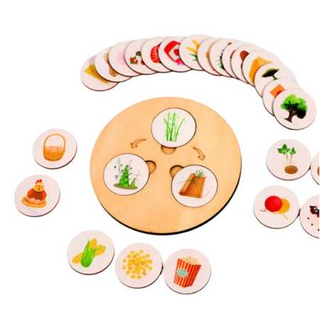 Jocuri si Jucarii - Joc Montessori Decomposing Game, Etapele Vietii, din Lemn