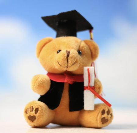 Jucarie din plus Ursuletul absolvent, 10 cm, maro [2]