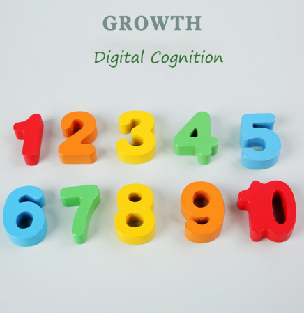 Jucarie Montessori placa multifunctionala de sortare si numarare, cu cifre si bilute [3]