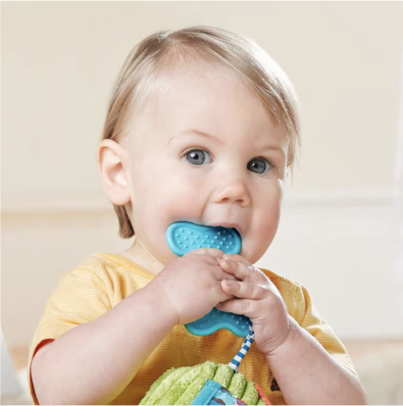 Jucarie senzoriala cu elemente zornaitoare si dentitie Catel, 6 luni+ [2]