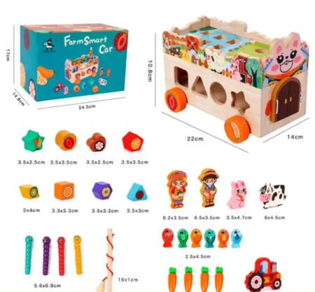 Masinuta cu activitati educative Montessori – Ferma, din lemn [10]