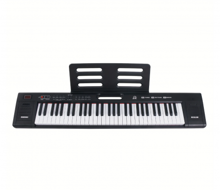 Orga cu Microfon si Incarcator la Priza – 61 Clape, 200 Tonuri si 200 Ritmuri [3]