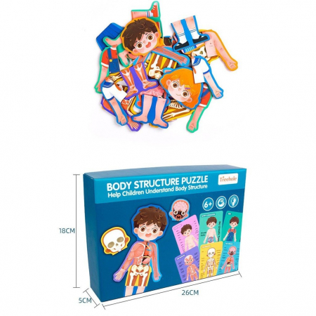 Puzzle din lemn sistemele Corpului uman - Baietel [3]