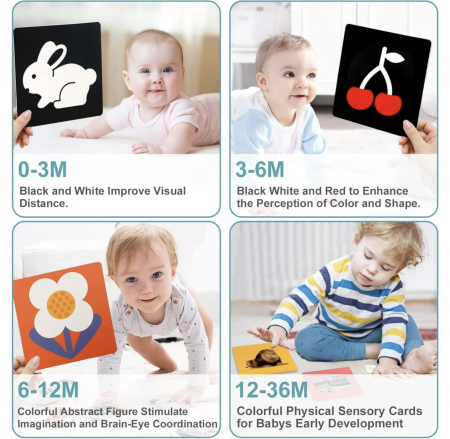 Jocuri si Jucarii - Set 16 carduri STEM de stimulare vizuala pentru bebelusi 12-36 luni