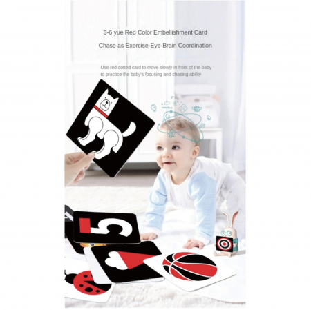 Jocuri si Jucarii - Set 20 carduri flash STEM alb-negru-rosu, de stimulare vizuala pentru bebelusi 3-6 luni