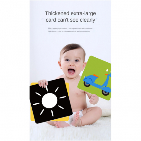 Set 20 carduri STEM, de stimulare siinvatare vizuala, Culori, 6-12 luni [3]