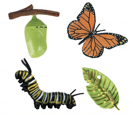 Set 4 Piese Ciclul Vietii Fluture - Figurine Educationale si Decorative [2]