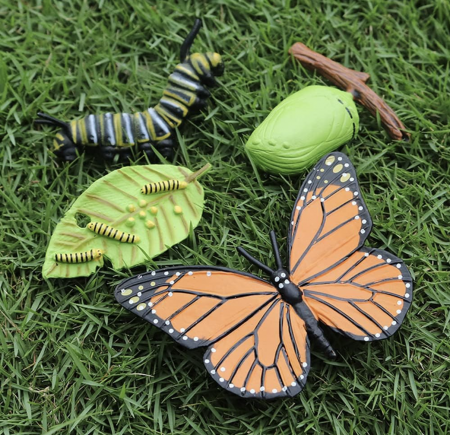 Set 4 Piese Ciclul Vietii Fluture - Figurine Educationale si Decorative [3]