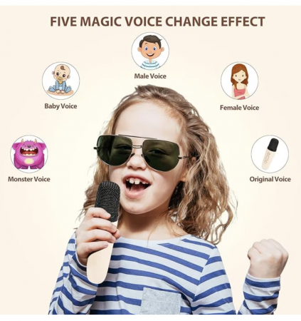 set-karaoke-cu-boxa-difuzor-si-2-microfoane-wireless-cu-bluetooth-acumulator-si-radio-013386.png