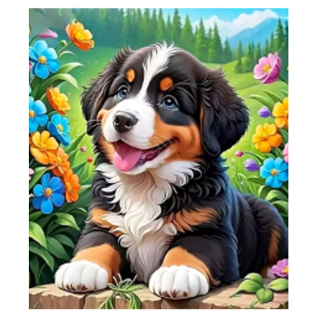Tablouri pictura pe numere - Tablou pm10024 Catel Bernese Mountain Dog, Picteaza Dupa Numere, cu rama, 20x30 cm