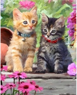 Tablouri pictura pe numere - Tablou PM616 Pui de pisicute, Picteaza dupa numere, cu rama de lemn, 20 x 30 cm