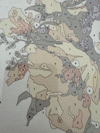 Tablou PM755 Picteaza Dupa Numere, cu rama, 40x50 cm, Flori langa Lac de munte [2]