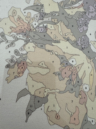 Tablou PM2003 Picteaza Dupa Numere, cu rama, 40x50 cm, Trandafiri salbatici pe malul marii [2]