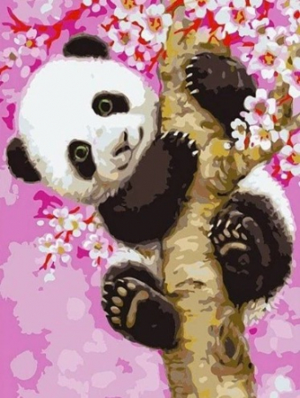 Tablouri DIY - Tablou PM703 Picteaza Dupa Numere, cu rama, 20x30 cm, Panda in pom de cires