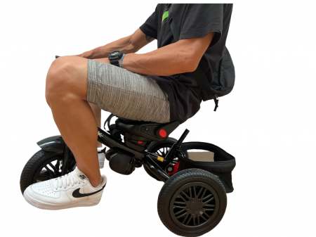 Tricicleta cu scaun reversibil si pozitie de somn, SL02 - Negru cu aripi aurii [6]