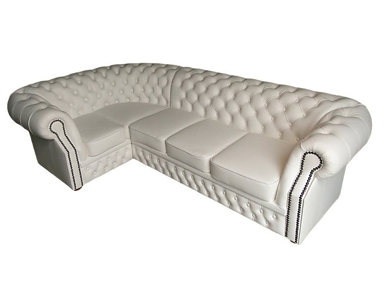 Coltarul Chesterfield Windsor [1]