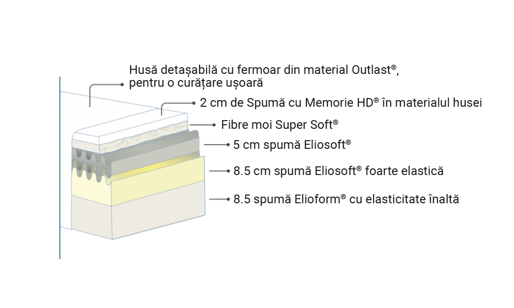 Saltea Magnistrech [6]