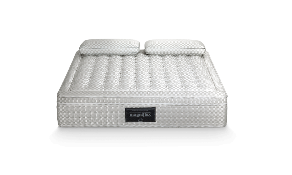 Saltea Maestro Dual [2]