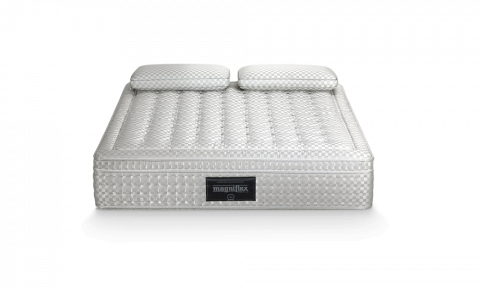 Saltea Maestro Dual [1]