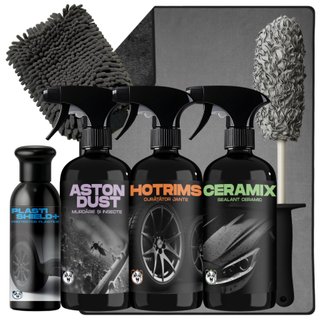 PACHETE - PACHET DETAILING AUTO EXTERIOR